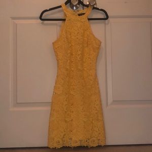 Lulus bodycon lace dress